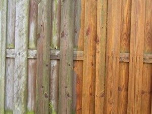 Fence & Deck Power Washing and Pressure Washing in Myrtle Beach.